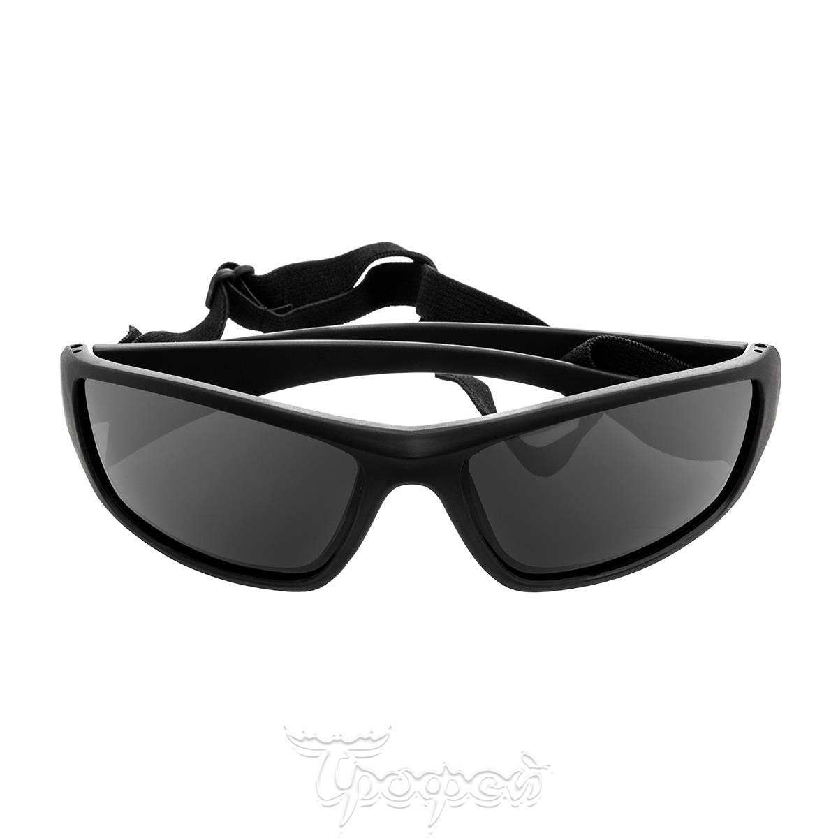 Очки поляризационные в жест.чехле (серый) (PR-OP-55404-G-C) PREMIER