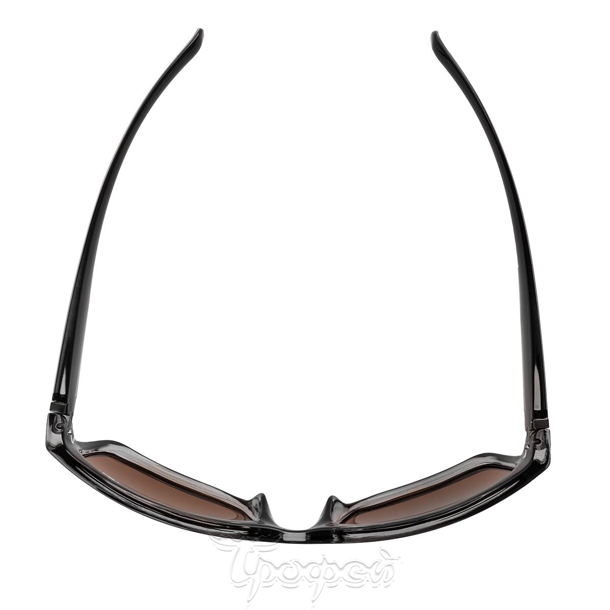 Очки поляризационные в жест.чехле (коричневый) (N-OP-LZ0308-C) Nisus